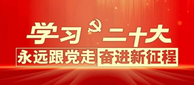 中共中央关于认真学习宣传贯彻党的二十大精神的决定